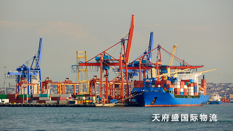 天府盛国际物流.jpg